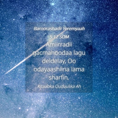 Picture 04 - Baroorashadii Yeremyaah 5:12 SOM - Amiirradii gacmahoodaa lagu deldelay, Oo - Bible Verse Picture