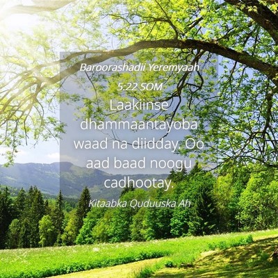 Picture 04 - Baroorashadii Yeremyaah 5:22 SOM - Laakiinse dhammaantayoba waad na diidday. Oo aad - Bible Verse Picture