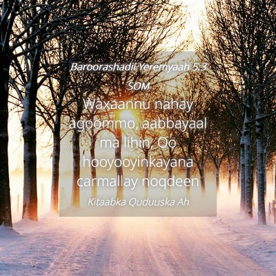 Picture 04 - Baroorashadii Yeremyaah 5:3 SOM - Waxaannu nahay agoommo, aabbayaal ma lihin, Oo - Bible Verse Picture