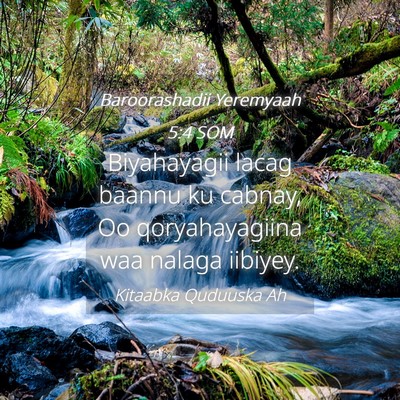 Picture 04 - Baroorashadii Yeremyaah 5:4 SOM - Biyahayagii lacag baannu ku cabnay, Oo - Bible Verse Picture