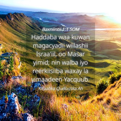 Picture 04 - Baxniintii 1:1 SOM - Haddaba waa kuwan magacyadii wiilashii Israa'iil, - Bible Verse Picture