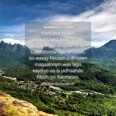 Picture 04 - Baxniintii 1:11 SOM - Haddaba sidaas daraaddeed ayay niman madax uga - Bible Verse Picture