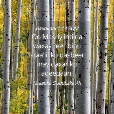 Picture 04 - Baxniintii 1:13 SOM - Oo Masriyiintiina waxay reer binu Israa'iil ku - Bible Verse Picture