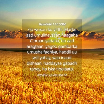 Picture 04 - Baxniintii 1:16 SOM - oo wuxuu ku yidhi, Markii aad umulinaysaan - Bible Verse Picture