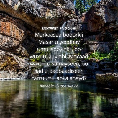 Picture 04 - Baxniintii 1:18 SOM - Markaasaa boqorkii Masar u yeedhay - Bible Verse Picture