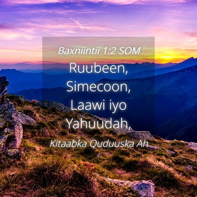 Picture 04 - Baxniintii 1:2 SOM - Ruubeen, Simecoon, Laawi iyo - Bible Verse Picture