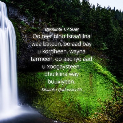 Picture 04 - Baxniintii 1:7 SOM - Oo reer binu Israa'iilna waa bateen, oo aad bay u - Bible Verse Picture