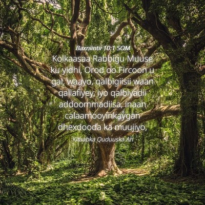 Picture 04 - Baxniintii 10:1 SOM - Kolkaasaa Rabbigu Muuse ku yidhi, Orod oo Fircoon - Bible Verse Picture