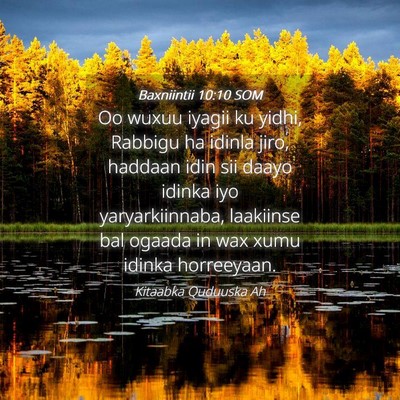 Picture 04 - Baxniintii 10:10 SOM - Oo wuxuu iyagii ku yidhi, Rabbigu ha idinla jiro, - Bible Verse Picture