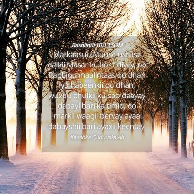 Picture 04 - Baxniintii 10:13 SOM - Markaasuu Muuse ushiisii dalkii Masar ku kor - Bible Verse Picture