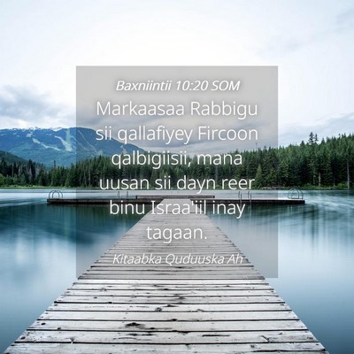Picture 04 - Baxniintii 10:20 SOM - Markaasaa Rabbigu sii qallafiyey Fircoon - Bible Verse Picture