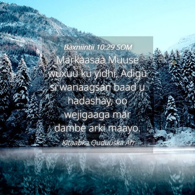 Picture 04 - Baxniintii 10:29 SOM - Markaasaa Muuse wuxuu ku yidhi, Adigu si - Bible Verse Picture