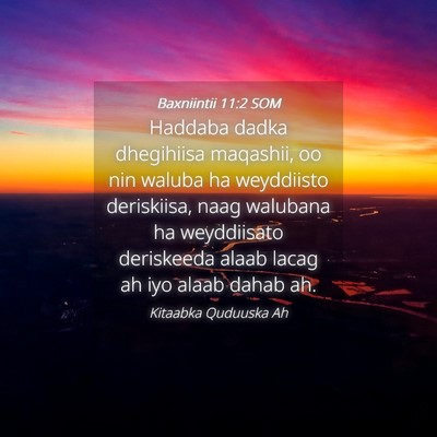 Picture 04 - Baxniintii 11:2 SOM - Haddaba dadka dhegihiisa maqashii, oo nin waluba - Bible Verse Picture