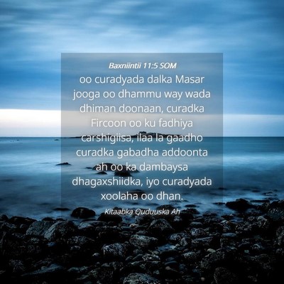 Picture 04 - Baxniintii 11:5 SOM - oo curadyada dalka Masar jooga oo dhammu way wada - Bible Verse Picture