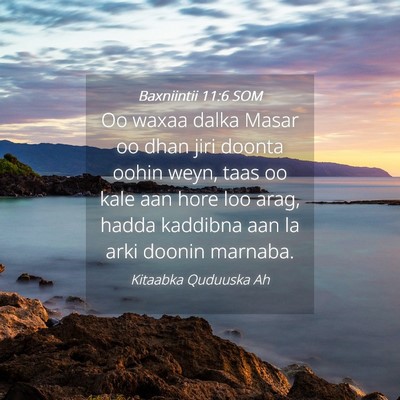 Picture 04 - Baxniintii 11:6 SOM - Oo waxaa dalka Masar oo dhan jiri doonta oohin - Bible Verse Picture