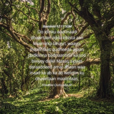 Picture 04 - Baxniintii 12:17 SOM - Oo idinku waa inaad dhawrtaan iidda kibista aan - Bible Verse Picture