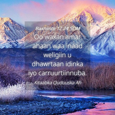 Picture 04 - Baxniintii 12:24 SOM - Oo waxan amar ahaan waa inaad weligiin u - Bible Verse Picture