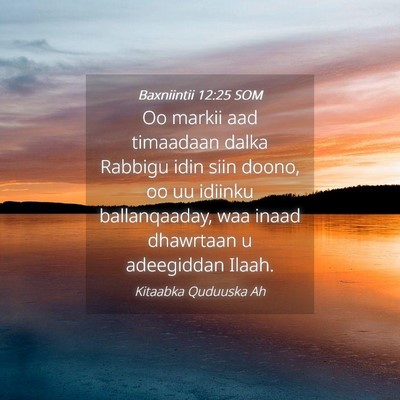 Picture 04 - Baxniintii 12:25 SOM - Oo markii aad timaadaan dalka Rabbigu idin siin - Bible Verse Picture