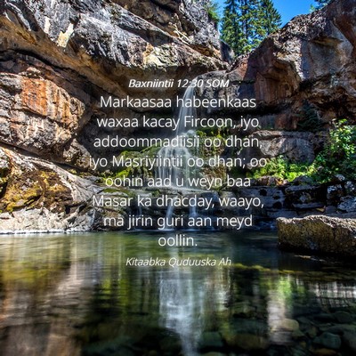 Picture 04 - Baxniintii 12:30 SOM - Markaasaa habeenkaas waxaa kacay Fircoon, iyo - Bible Verse Picture