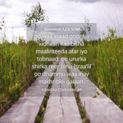 Picture 04 - Baxniintii 12:6 SOM - oo waa inaad gooni u xidhaan ilaa bisha - Bible Verse Picture