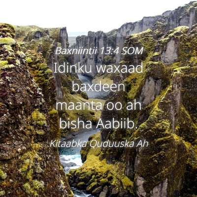 Picture 04 - Baxniintii 13:4 SOM - Idinku waxaad baxdeen maanta oo ah bisha - Bible Verse Picture