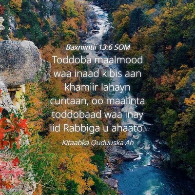 Picture 04 - Baxniintii 13:6 SOM - Toddoba maalmood waa inaad kibis aan khamiir - Bible Verse Picture
