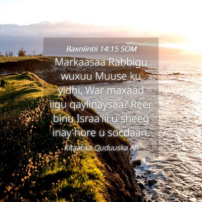 Picture 04 - Baxniintii 14:15 SOM - Markaasaa Rabbigu wuxuu Muuse ku yidhi, War - Bible Verse Picture
