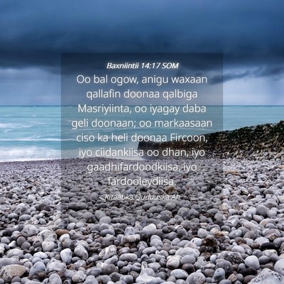 Picture 04 - Baxniintii 14:17 SOM - Oo bal ogow, anigu waxaan qallafin doonaa qalbiga - Bible Verse Picture