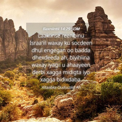 Picture 04 - Baxniintii 14:29 SOM - Laakiinse reer binu Israa'iil waxay ku socdeen - Bible Verse Picture