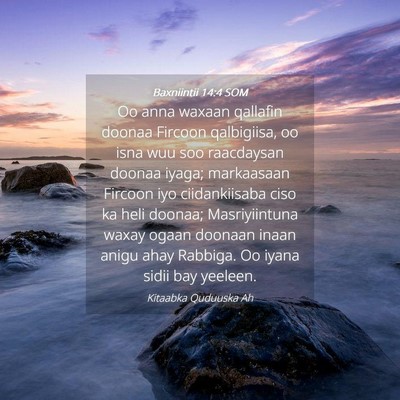 Picture 04 - Baxniintii 14:4 SOM - Oo anna waxaan qallafin doonaa Fircoon - Bible Verse Picture