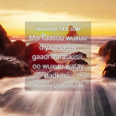 Picture 04 - Baxniintii 14:6 SOM - Markaasuu wuxuu diyaarsaday gaadhifaraskiisii, oo - Bible Verse Picture