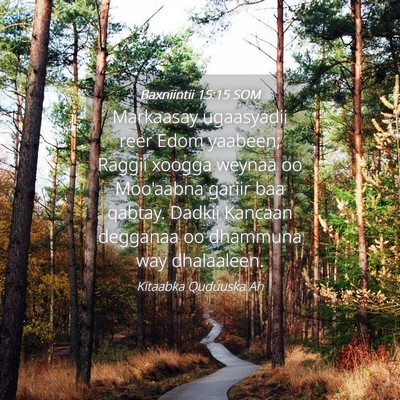 Picture 04 - Baxniintii 15:15 SOM - Markaasay ugaasyadii reer Edom yaabeen; Raggii - Bible Verse Picture