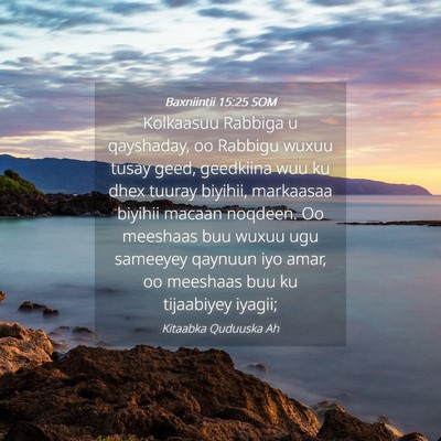 Picture 04 - Baxniintii 15:25 SOM - Kolkaasuu Rabbiga u qayshaday, oo Rabbigu wuxuu - Bible Verse Picture