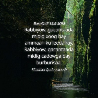 Picture 04 - Baxniintii 15:6 SOM - Rabbiyow, gacantaada midig xoog bay ammaan ku - Bible Verse Picture
