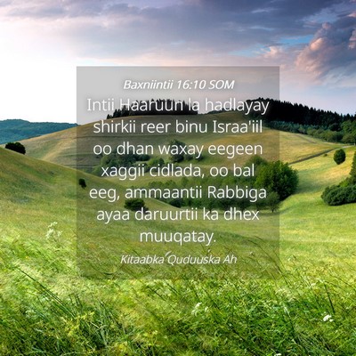 Picture 04 - Baxniintii 16:10 SOM - Intii Haaruun la hadlayay shirkii reer binu - Bible Verse Picture