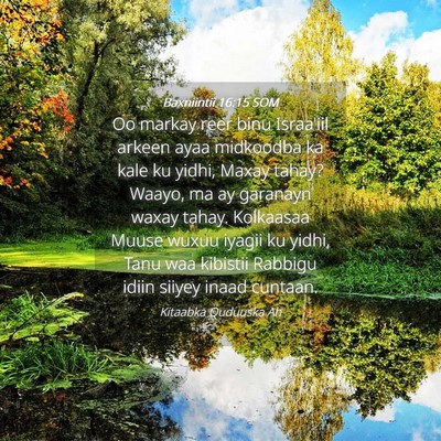 Picture 04 - Baxniintii 16:15 SOM - Oo markay reer binu Israa'iil arkeen ayaa - Bible Verse Picture