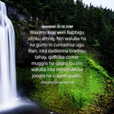 Picture 04 - Baxniintii 16:16 SOM - Waxanu waa wixii Rabbigu idinku amray, Nin waluba - Bible Verse Picture