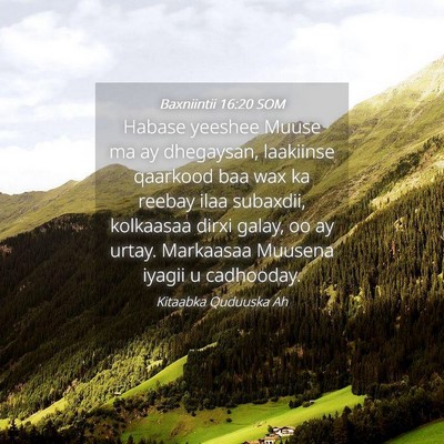 Picture 04 - Baxniintii 16:20 SOM - Habase yeeshee Muuse ma ay dhegaysan, laakiinse - Bible Verse Picture