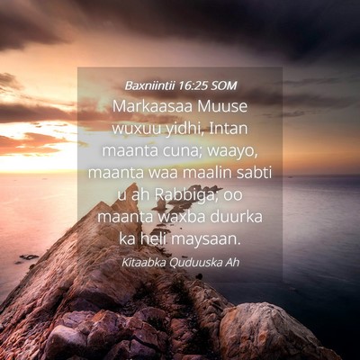 Picture 04 - Baxniintii 16:25 SOM - Markaasaa Muuse wuxuu yidhi, Intan maanta cuna; - Bible Verse Picture