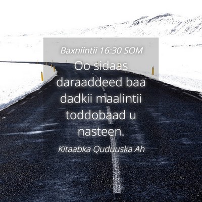 Picture 04 - Baxniintii 16:30 SOM - Oo sidaas daraaddeed baa dadkii maalintii - Bible Verse Picture