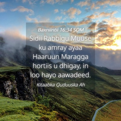 Picture 04 - Baxniintii 16:34 SOM - Sidii Rabbigu Muuse ku amray ayaa Haaruun Maragga - Bible Verse Picture