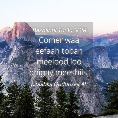 Picture 04 - Baxniintii 16:36 SOM - Comer waa eefaah toban meelood loo dhigay - Bible Verse Picture