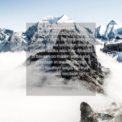 Picture 04 - Baxniintii 16:4 SOM - Markaasaa Rabbigu wuxuu Muuse ku yidhi, Bal eeg, - Bible Verse Picture