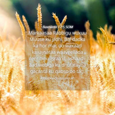Picture 04 - Baxniintii 17:5 SOM - Markaasaa Rabbigu wuxuu Muuse ku yidhi, Bal dadka - Bible Verse Picture