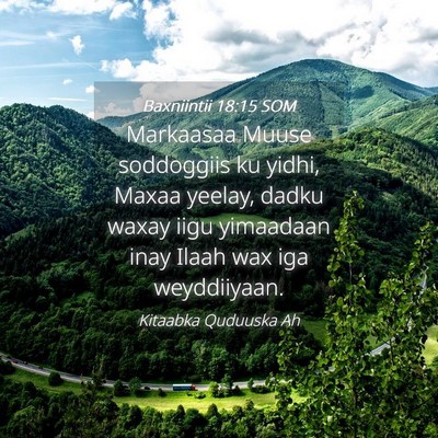 Picture 04 - Baxniintii 18:15 SOM - Markaasaa Muuse soddoggiis ku yidhi, Maxaa - Bible Verse Picture