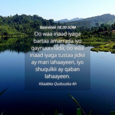 Picture 04 - Baxniintii 18:20 SOM - Oo waa inaad iyaga bartaa amarrada iyo - Bible Verse Picture