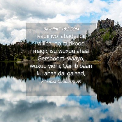 Picture 04 - Baxniintii 18:3 SOM - iyadii iyo labadeedii wiilba, oo midkood - Bible Verse Picture