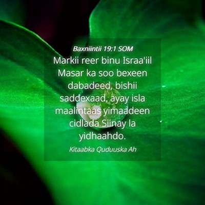 Picture 04 - Baxniintii 19:1 SOM - Markii reer binu Israa'iil Masar ka soo bexeen - Bible Verse Picture