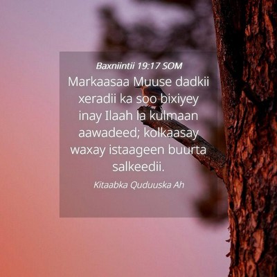 Picture 04 - Baxniintii 19:17 SOM - Markaasaa Muuse dadkii xeradii ka soo bixiyey - Bible Verse Picture