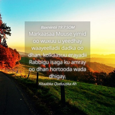 Picture 04 - Baxniintii 19:7 SOM - Markaasaa Muuse yimid oo wuxuu u yeedhay - Bible Verse Picture